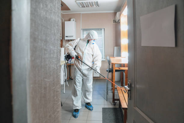 Best Mold Remediation for Vacation Homes  in Lafayette, GA