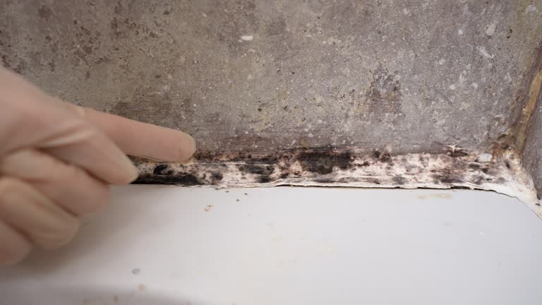 Best Forensic Mold Investigation  in Lafayette, GA